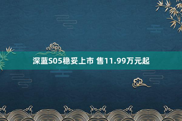 深蓝S05稳妥上市 售11.99万元起