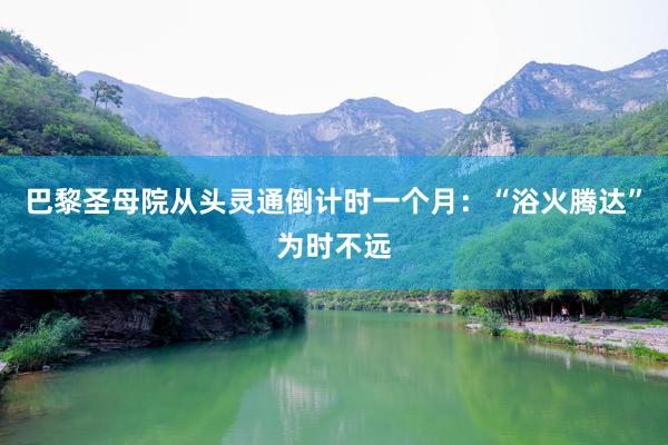 巴黎圣母院从头灵通倒计时一个月：“浴火腾达”为时不远